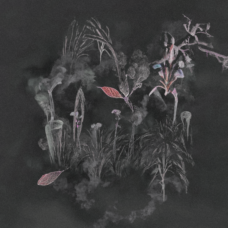 Hauntological Herbarium #55 static token preview