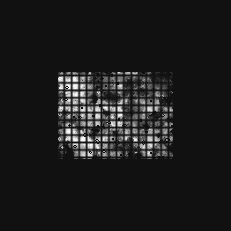 (l)andscape #1 static token preview
