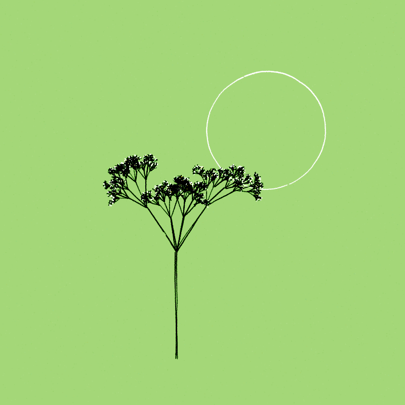 Hand-Drawn Tree #15 static token preview