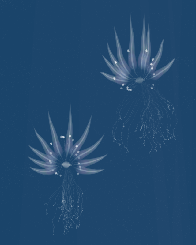 Cyanotypes #3 static token preview
