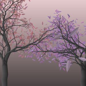 Ancient Trees II. Close ups project preview