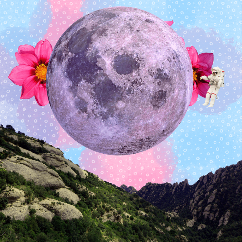 Pink Moon #8 static token preview