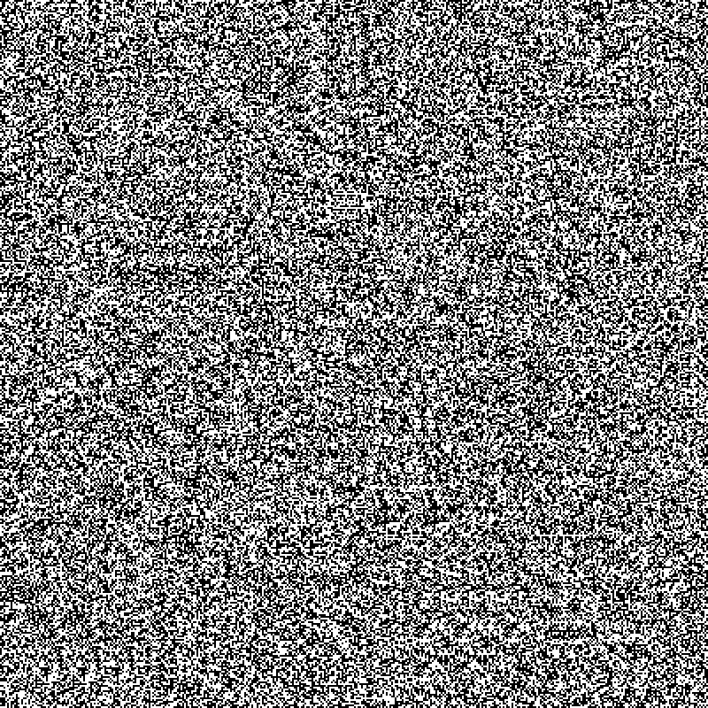 no noise #1 #3 static token preview