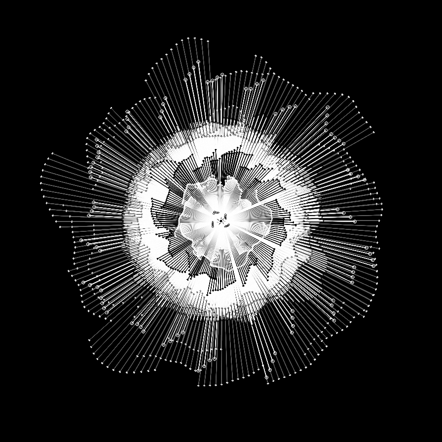 Camellia #14 static token preview