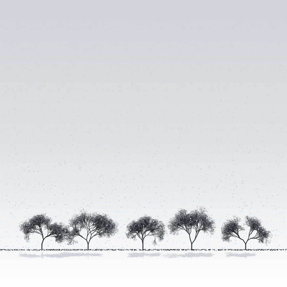 Sakuras in the snow #6 static token preview