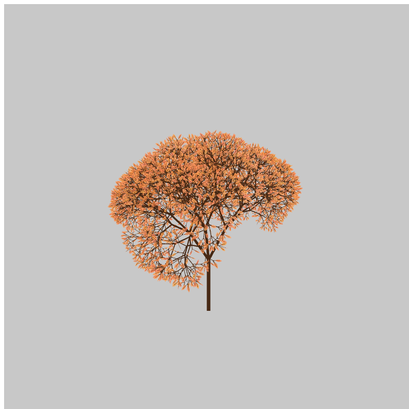 CandyTree #13 static token preview