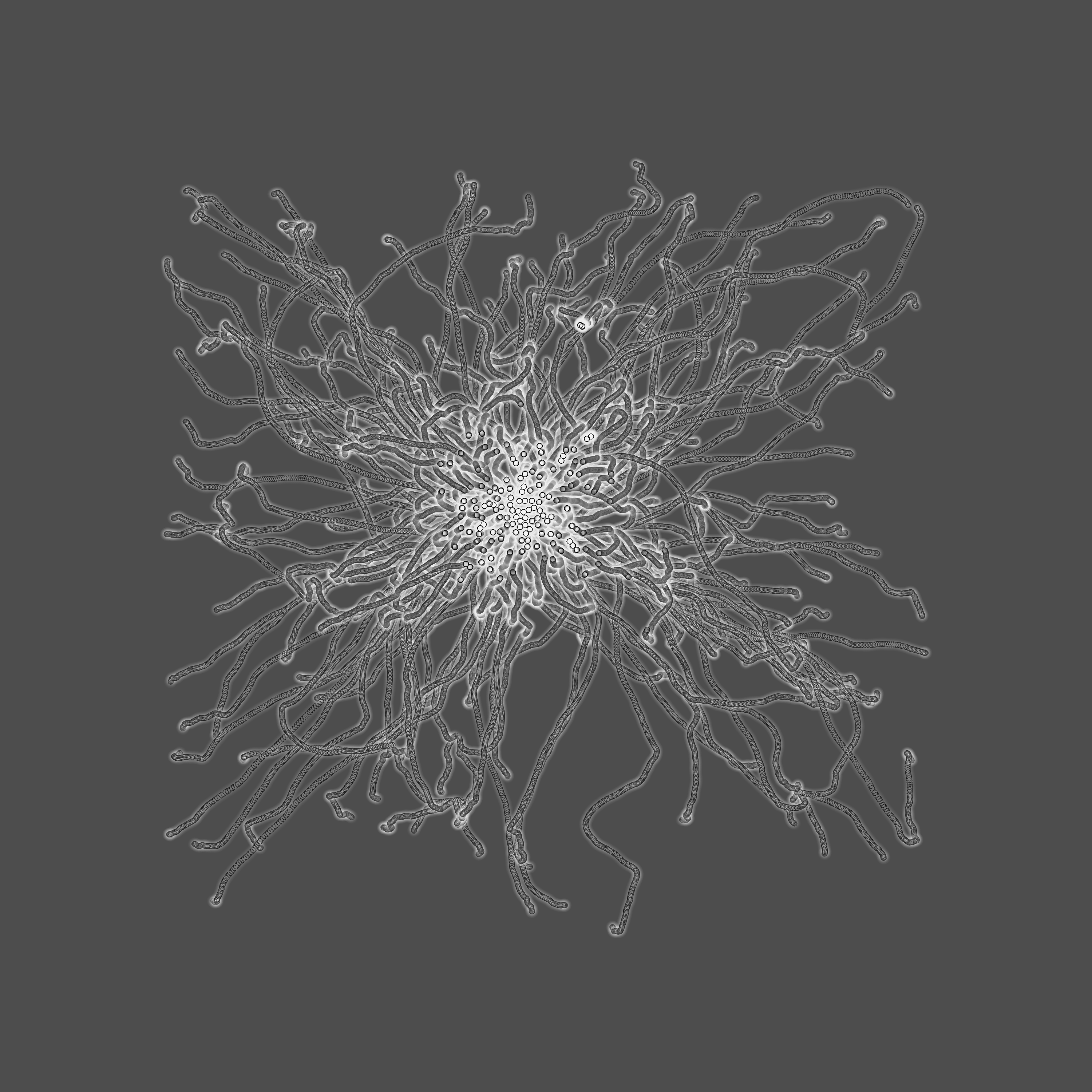 grey fungi wisdom #11 static token preview