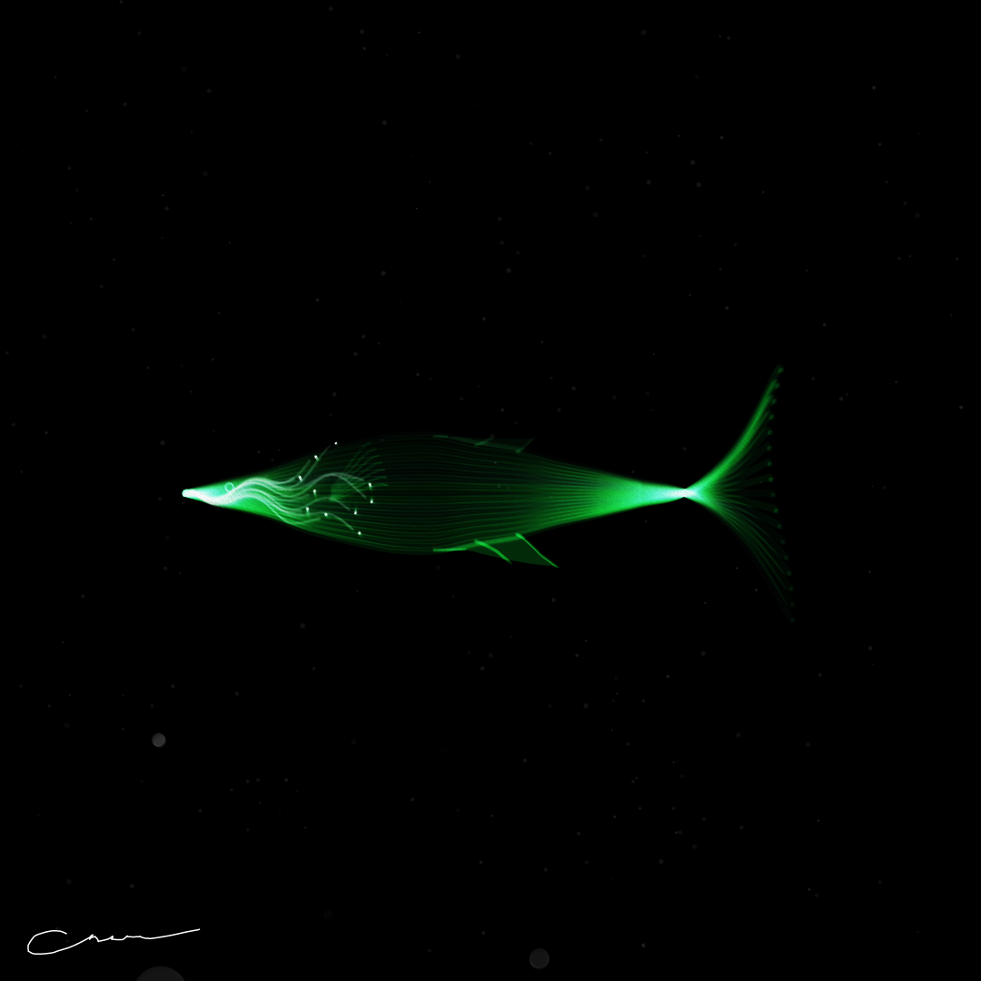 SoulFish #315 static token preview