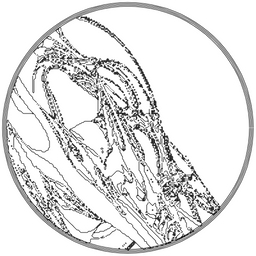 LL21 Fractal (Remastered) project preview