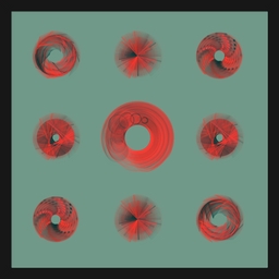 Spiny Spinners project preview