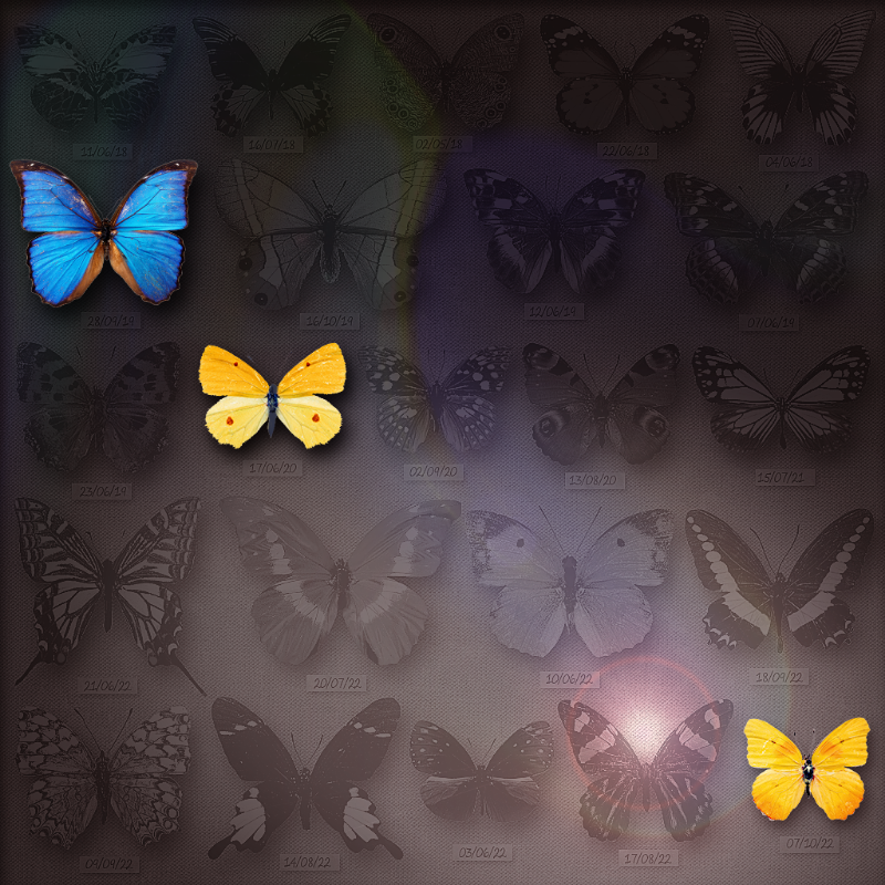 Save Butterfly World #5 static token preview