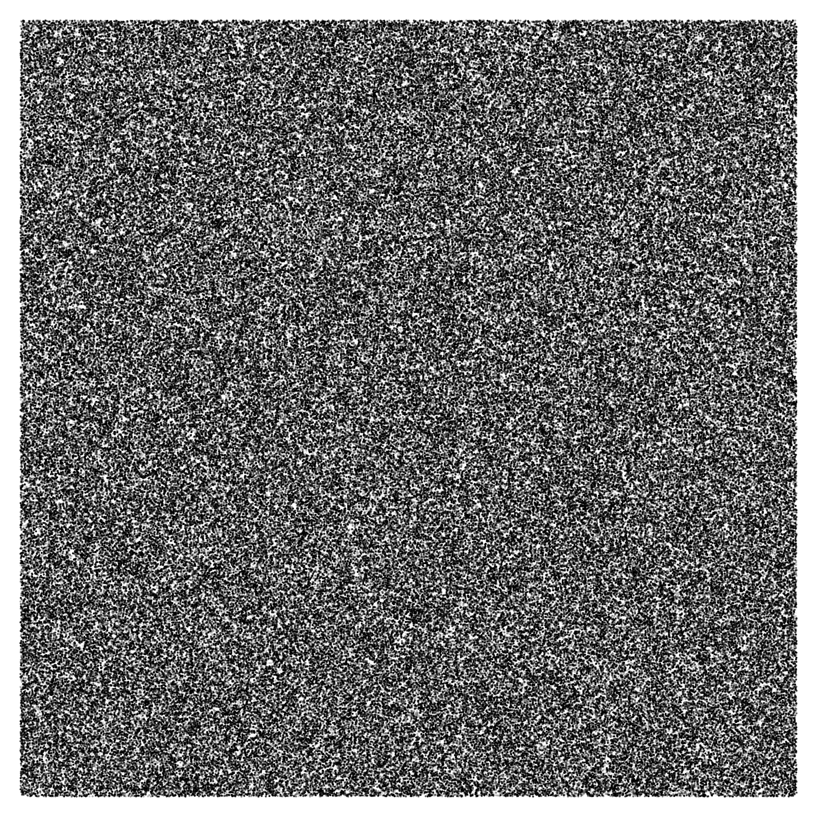 Noise #19 static token preview