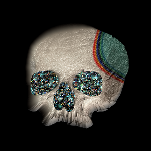 💀ACID SKULL🌈 project preview