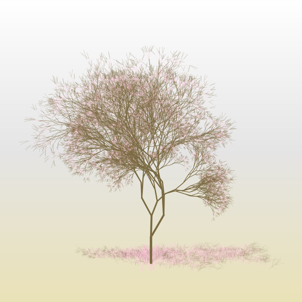 Hanami #6 static token preview
