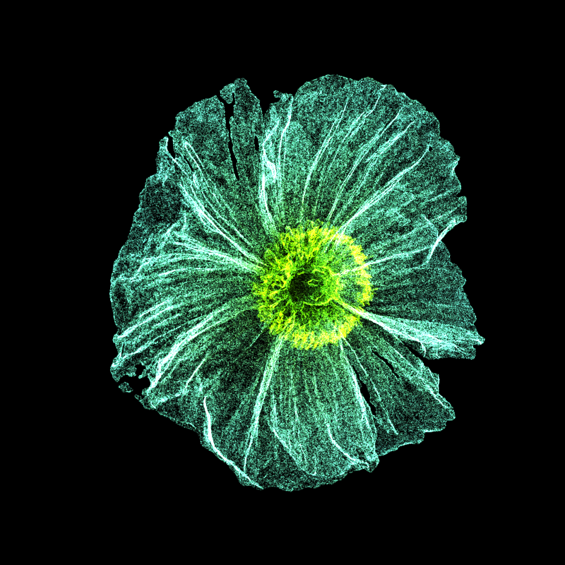 White Poppy 30 #15 static token preview