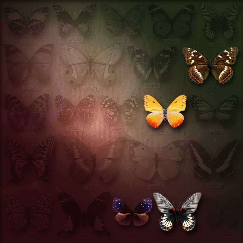 Save Butterfly World #21 static token preview