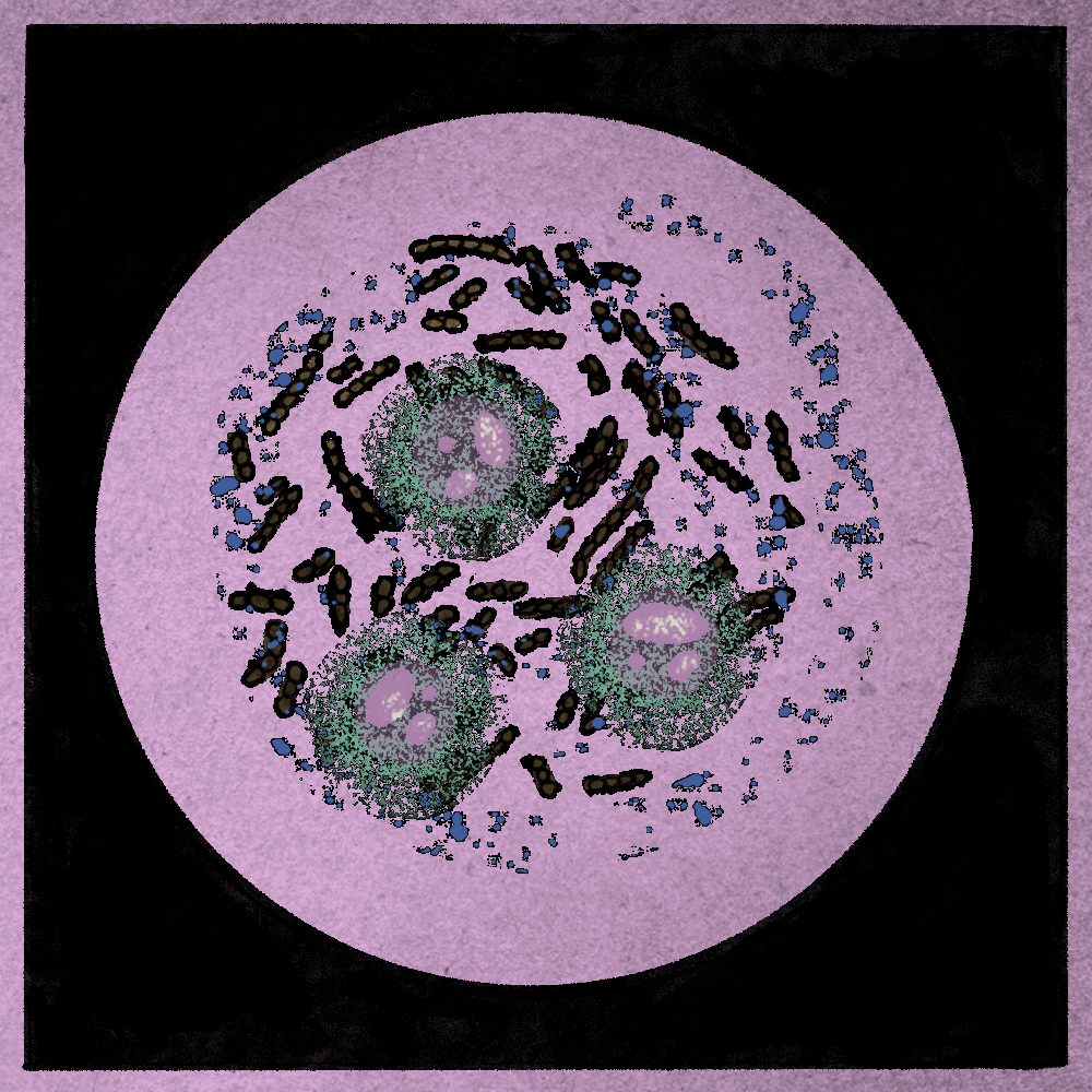 Microbes #114 static token preview