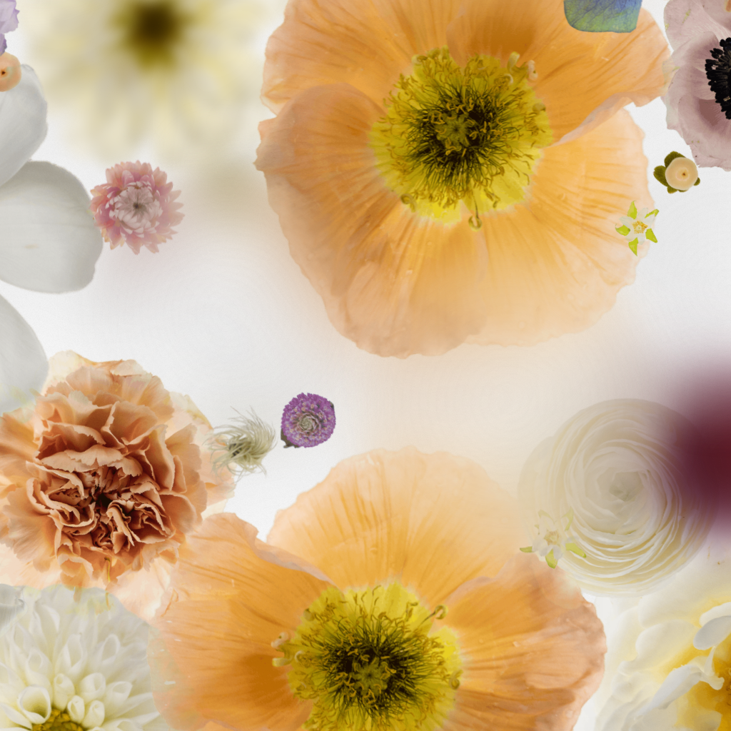 Broken Flowers #4 static token preview
