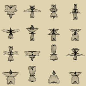 Spherical Harmonics Insectarium project preview
