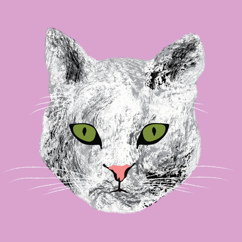 Kitten #8 static token preview
