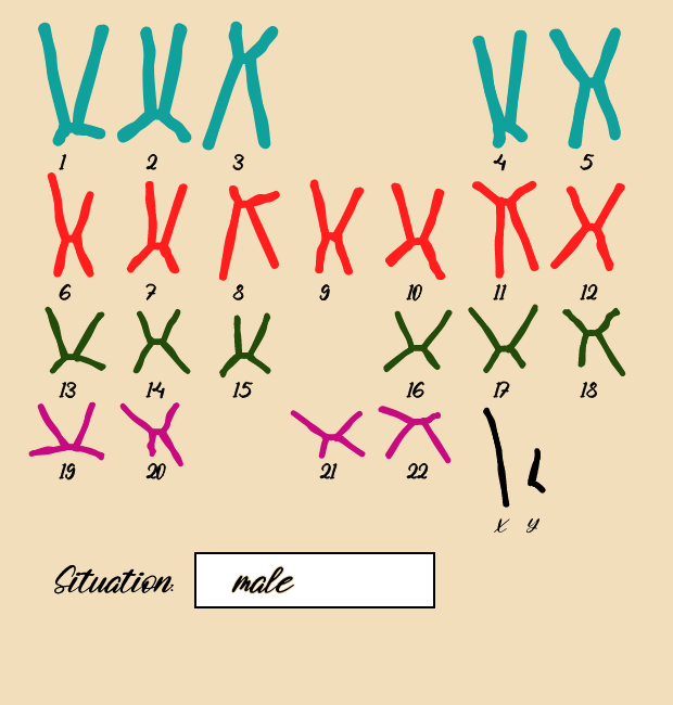 "Karyotype" #3 static token preview