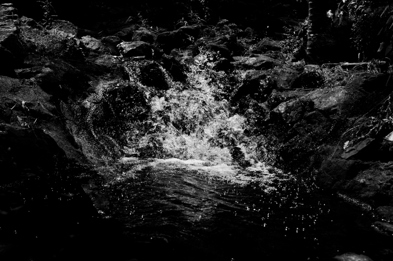 chasing waterfalls #8 static token preview