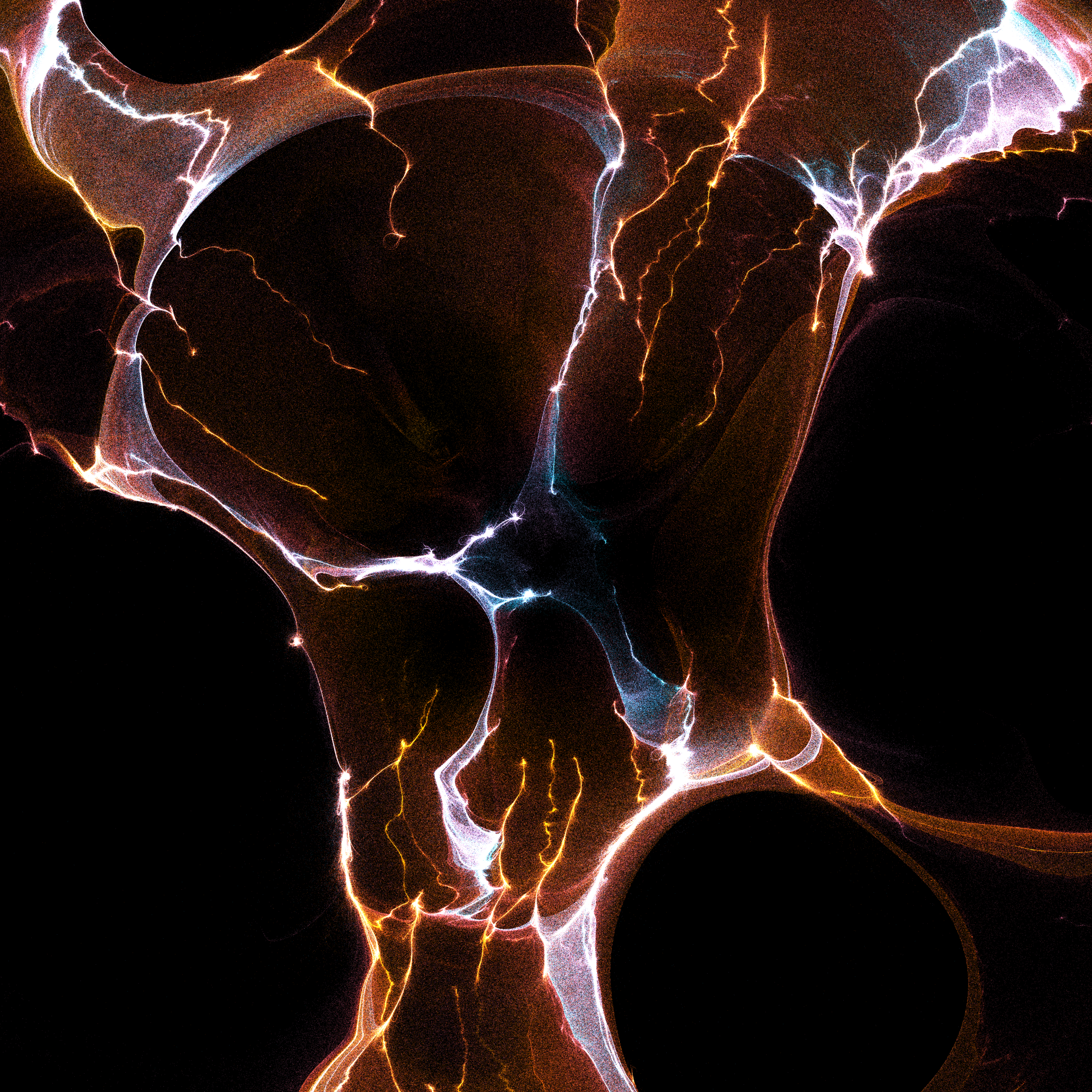 Wavelength persistence #12 static token preview