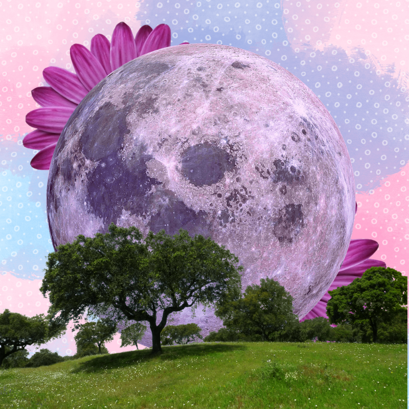 Pink Moon #22 static token preview
