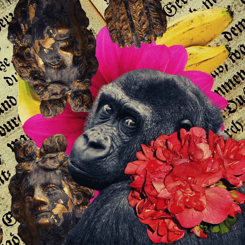 Banana flower #16 static token preview