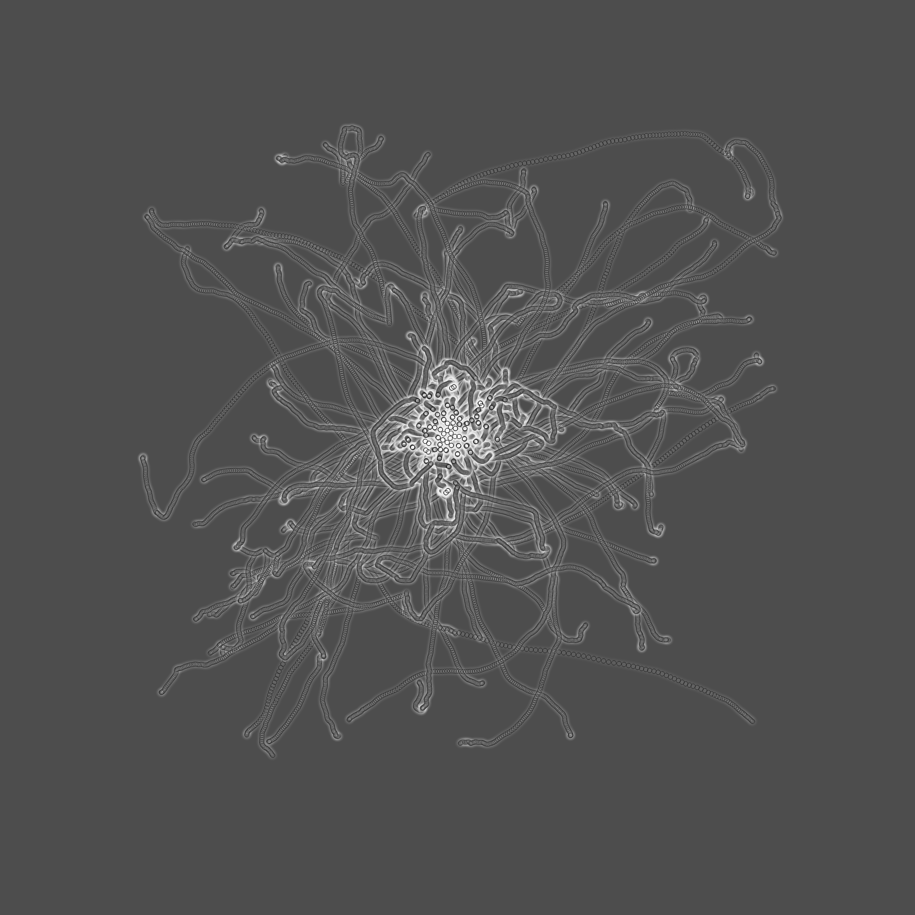 grey fungi wisdom #2 static token preview