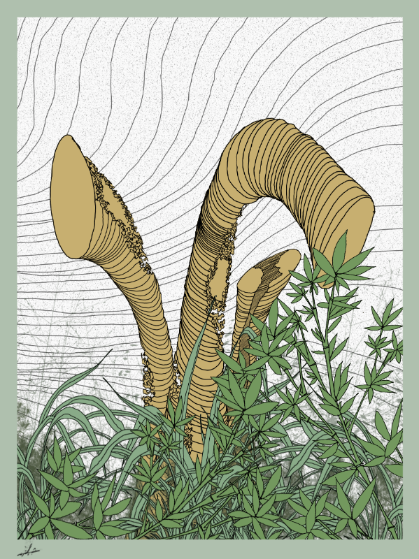 Line art #zentangle2 #6 static token preview