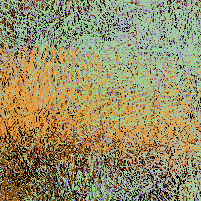 a bird worked on my painting #4 static token preview