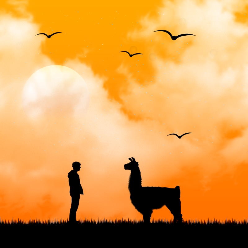 We Care...Llama #4 static token preview
