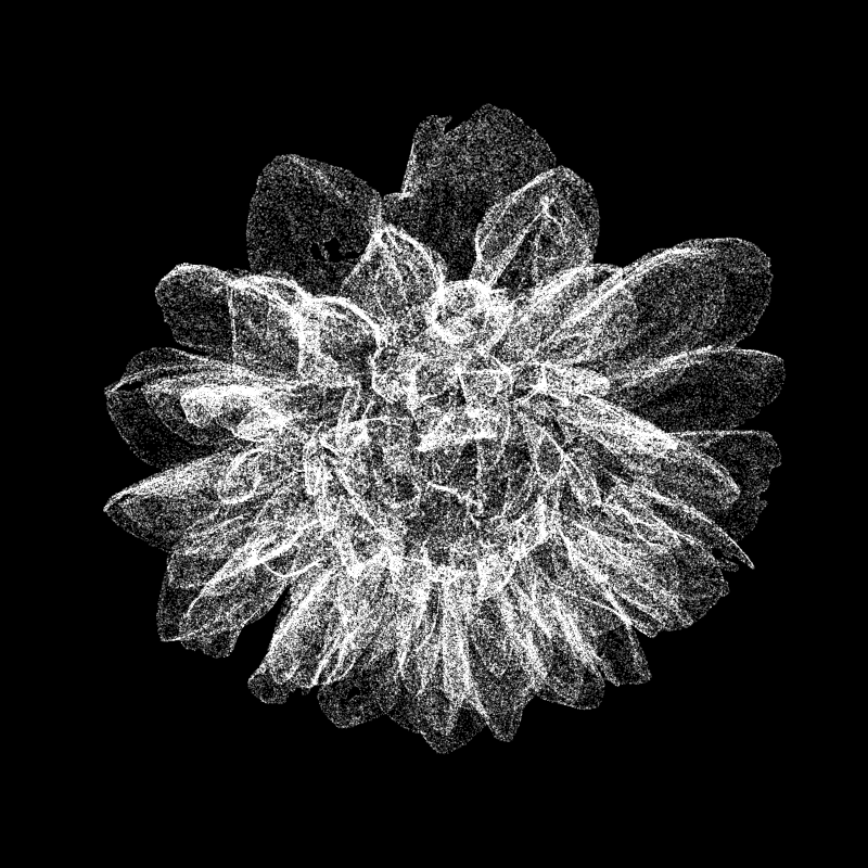 Dahlia Pinnata 30 #13 static token preview