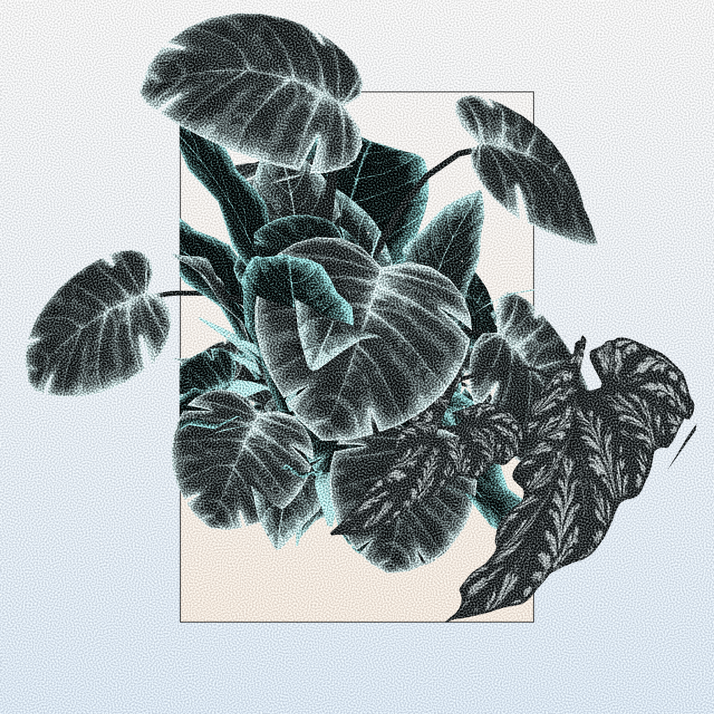 Botany #8 static token preview