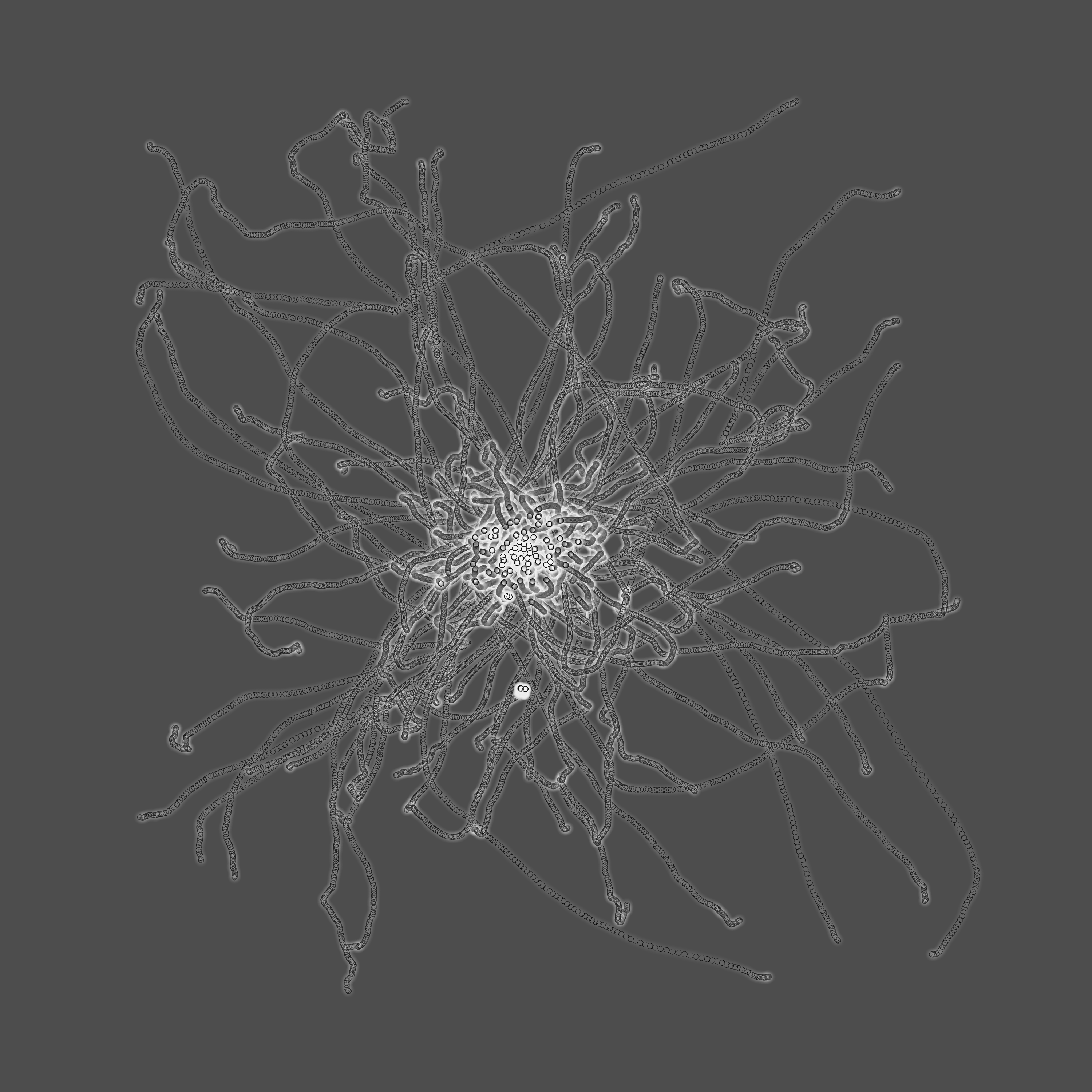 grey fungi wisdom #134 static token preview
