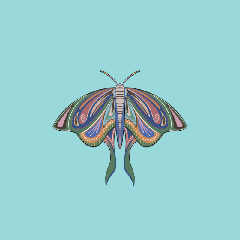 The Moth Experiment 2.0 P2 #23 static token preview