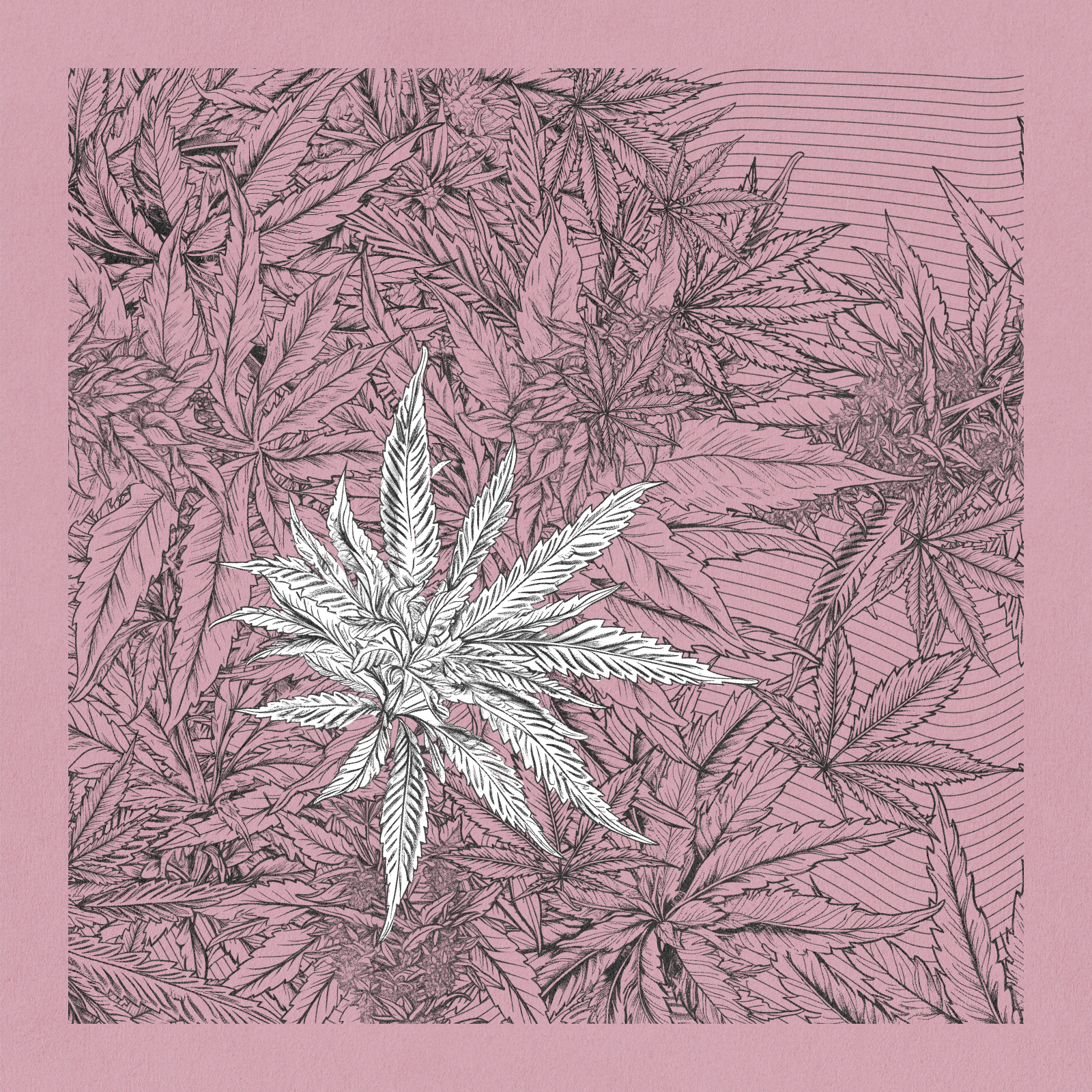 zancannabis #20 static token preview