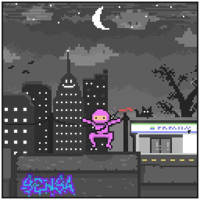 City Ninjaz #14 static token preview