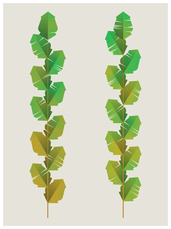 Leaves #8 static token preview