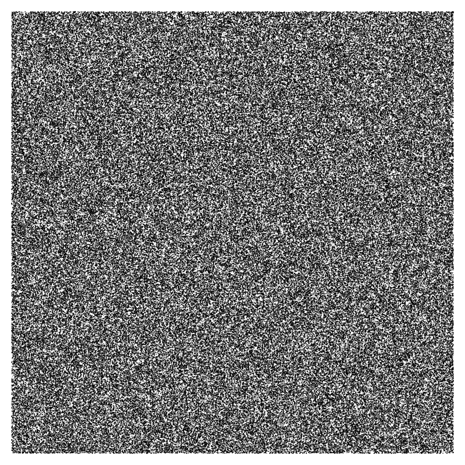 Noise #22 static token preview