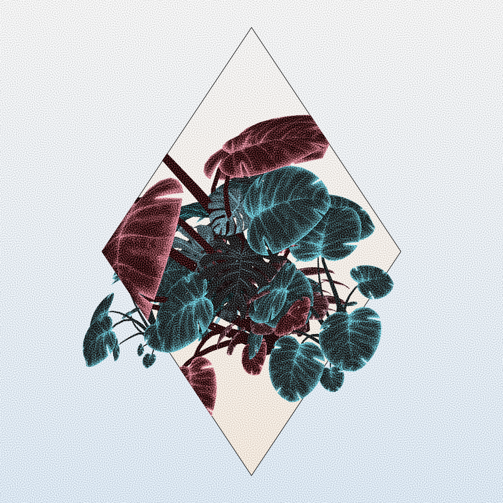 Botany #12 static token preview