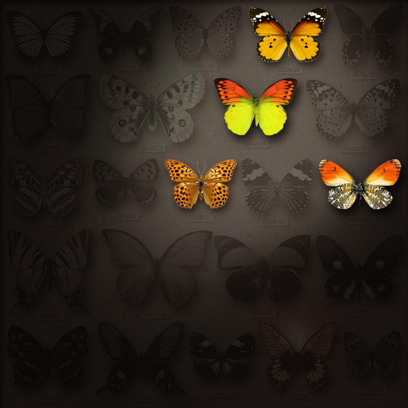 Save Butterfly World #24 static token preview