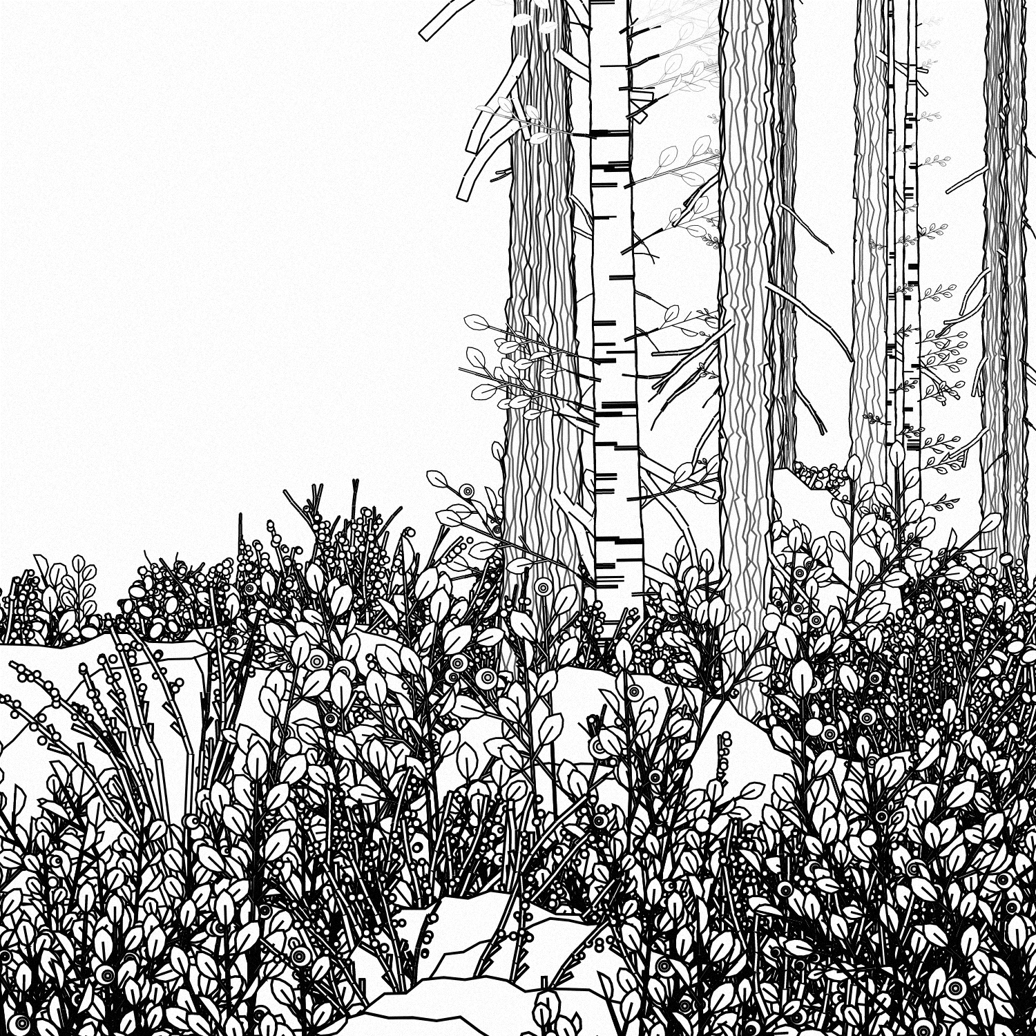 Swedish Forest #3 static token preview