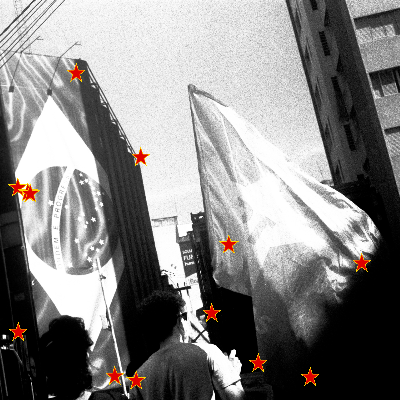 For democracy of Brazil #24 static token preview