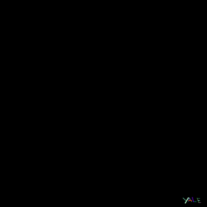 Black project preview