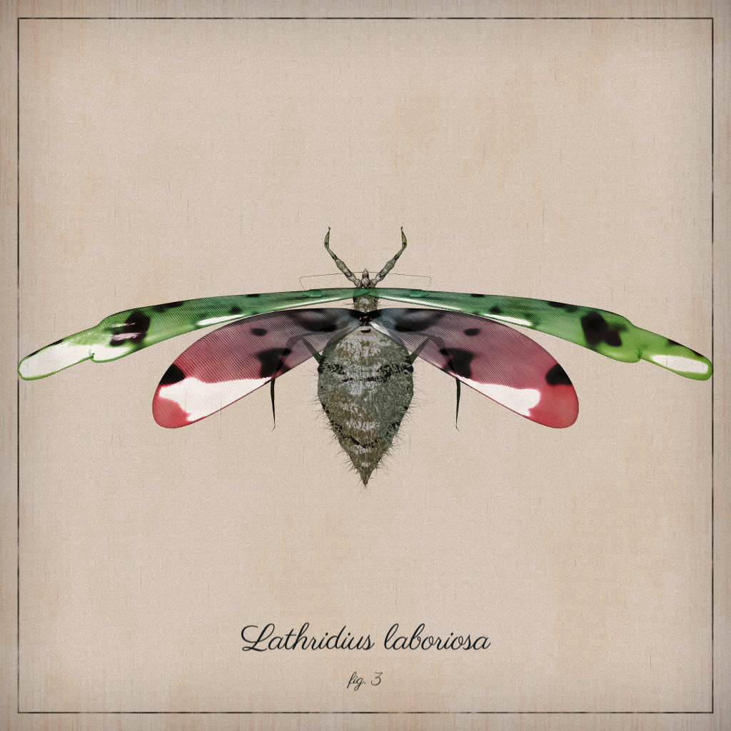ProcGen Entomology #21 static token preview