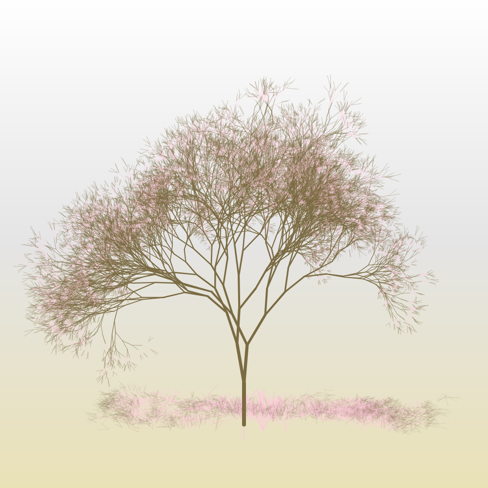 Hanami #12 static token preview
