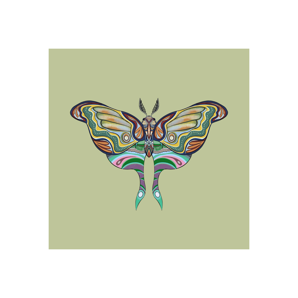 The Moth Experiment #38 static token preview