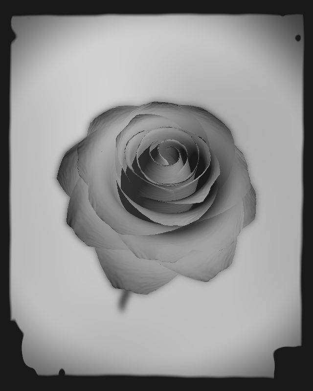 Rose 1851 #17 static token preview